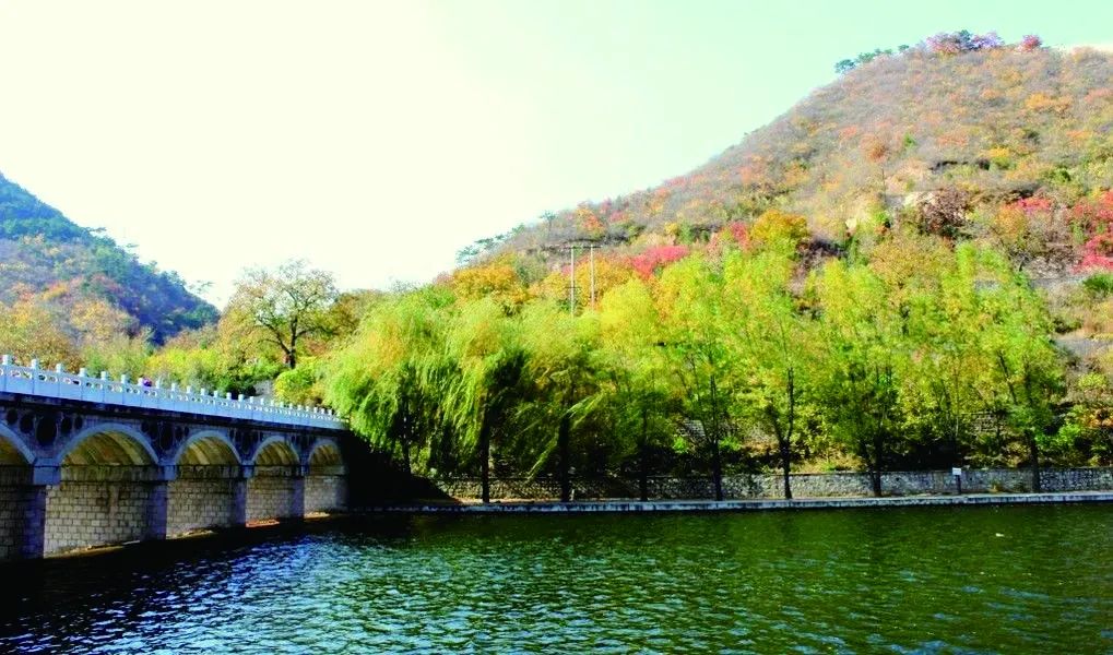 “微旅游”成消费热点 旅游市场正在回暖(图1) “微旅游”成消费热点 旅游市场正在回暖(图1)