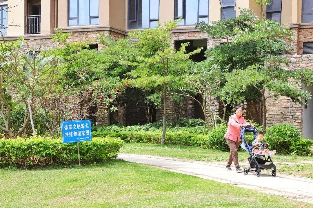 大鹏新区四月公共文明测评通报出炉！(图4)
