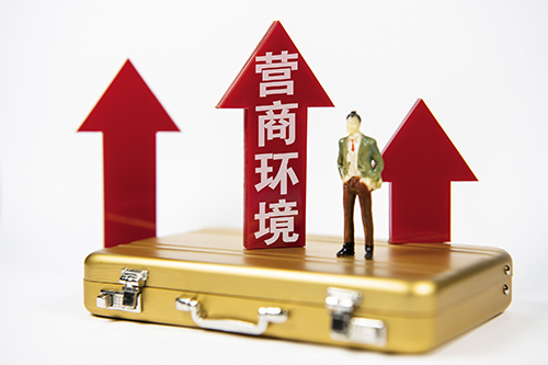 中国营商环境指数蓝皮书（2021）(图1)